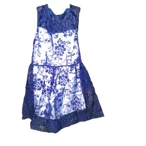 Blue Sheer Dress with White Liner